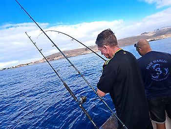 21/12 - Cavalier & Blue Marlin Fishing Charters Cavalier & Blue Marlin Sport Fishing Gran Canaria