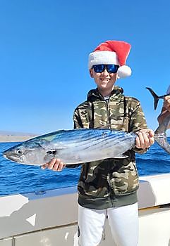 26/12 - NICE CHRISTMAS CATCHES!! Cavalier & Blue Marlin Sport Fishing Gran Canaria