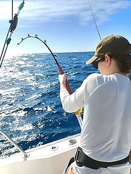 28/12 - Barracudas & Atlantic bonitos Cavalier & Blue Marlin Sport Fishing Gran Canaria