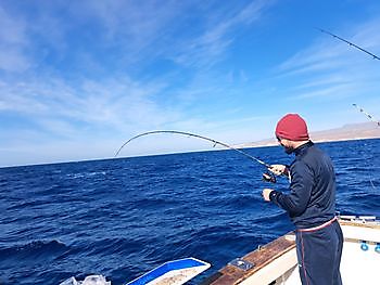 28/12 Cavalier & Blue Marlin Sport Fishing Gran Canaria