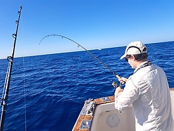 30/12 - AMBERJACK - ATLANTIC BONITOS - BARRACUDAS Cavalier & Blue Marlin Sport Fishing Gran Canaria