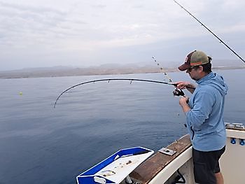 15/01 Cavalier & Blue Marlin Sport Fishing Gran Canaria