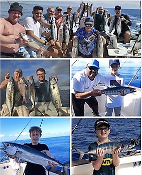 15/02 - FÊTE AMBERJACK !! Cavalier & Blue Marlin Sport Fishing Gran Canaria
