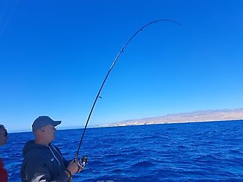 19/02 Cavalier & Blue Marlin Sport Fishing Gran Canaria