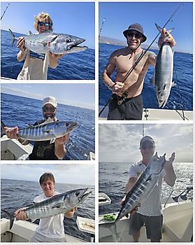 29/02 – GROSSER WAHOO HEUTE!!! Cavalier & Blue Marlin Sport Fishing Gran Canaria