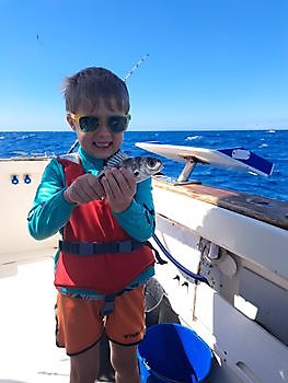 16/03 Cavalier & Blue Marlin Sport Fishing Gran Canaria