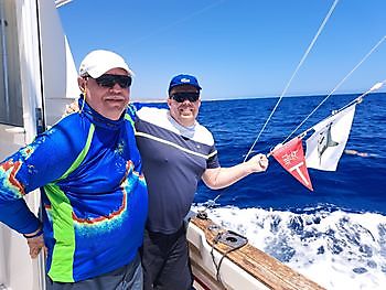 25/04 – BLAUER MARLIN UND BLAUER THUNFISCH!!! Cavalier & Blue Marlin Sport Fishing Gran Canaria