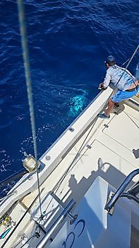 25/04 – BLAUER MARLIN UND BLAUER THUNFISCH!!! Cavalier & Blue Marlin Sport Fishing Gran Canaria
