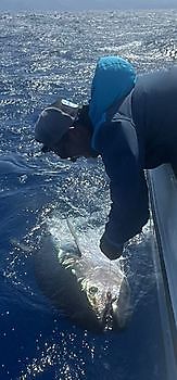 26/04 Cavalier & Blue Marlin Sport Fishing Gran Canaria