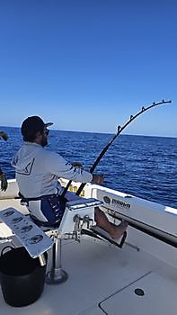 12/05 Cavalier & Blue Marlin Sport Fishing Gran Canaria