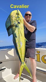 19/05 DORADOS Cavalier & Blue Marlin Sport Fishing Gran Canaria