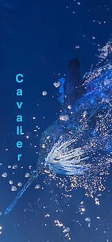 24/05 Cavalier & Blue Marlin Sport Fishing Gran Canaria