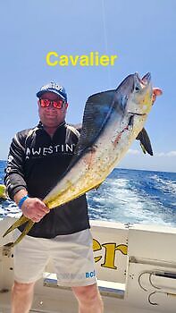 23/06 Cavalier & Blue Marlin Sport Fishing Gran Canaria