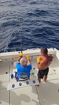 18/07 Cavalier & Blue Marlin Sport Fishing Gran Canaria