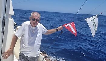 19/07 BLUE MARLIN Cavalier & Blue Marlin Sport Fishing Gran Canaria