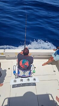 01/08 Cavalier & Blue Marlin Sport Fishing Gran Canaria