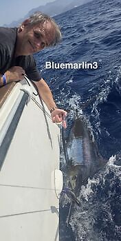 05/08 - BLUE MARLIN Cavalier & Blue Marlin Sport Fishing Gran Canaria