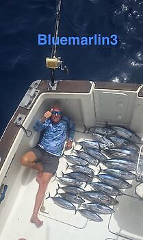 08/09 Cavalier & Blue Marlin Sport Fishing Gran Canaria