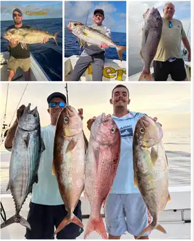 30/10 - Opnieuw geweldige vangsten! - Cavalier & Blue Marlin Sport Fishing Gran Canaria