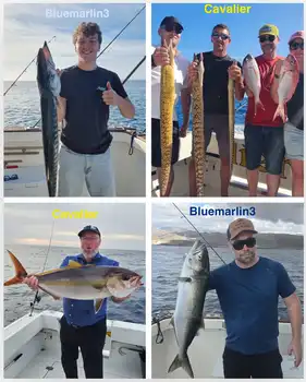 06/11 - AMERJACKS, BARRACUDAS, KING FISH, MORAY EELS!! - Cavalier & Blue Marlin Sport Fishing Gran Canaria