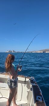 6/11 Cavalier & Blue Marlin Sport Fishing Gran Canaria