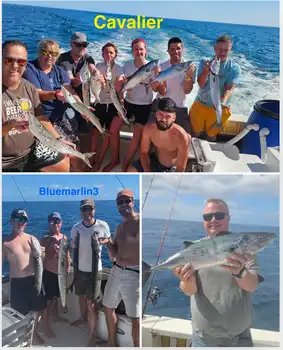 12/11 - Great week of fishing! - Cavalier & Blue Marlin Sport Fishing Gran Canaria