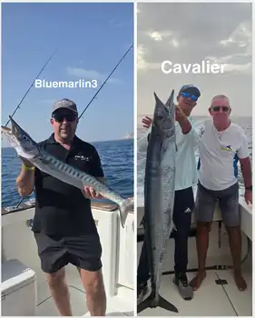 25/11 - Great day! - Cavalier & Blue Marlin Sport Fishing Gran Canaria