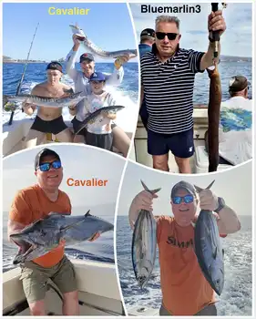 29/11 - Great end of the month!! - Cavalier & Blue Marlin Sport Fishing Gran Canaria