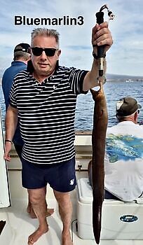 29/11 Cavalier & Blue Marlin Sport Fishing Gran Canaria