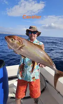 05/12 - AMBERJACK & BARRACUDAS!! - Cavalier & Blue Marlin Sport Fishing Gran Canaria