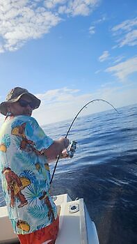 5/12 Cavalier & Blue Marlin Sport Fishing Gran Canaria