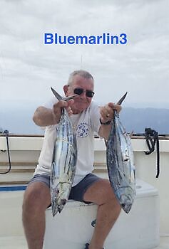 7/12 Cavalier & Blue Marlin Sport Fishing Gran Canaria