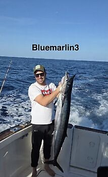 9/12 Cavalier & Blue Marlin Sport Fishing Gran Canaria