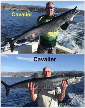 11/12 – Doppelfang!! - Cavalier & Blue Marlin Sport Fishing Gran Canaria