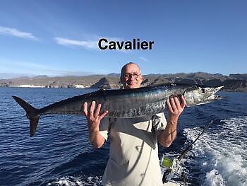 11/12 Cavalier & Blue Marlin Sport Fishing Gran Canaria