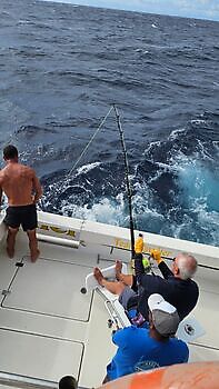 12/12 Cavalier & Blue Marlin Sport Fishing Gran Canaria