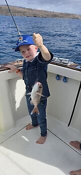 19/12 Cavalier & Blue Marlin Sport Fishing Gran Canaria