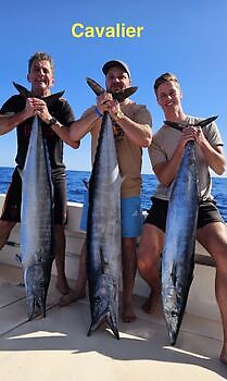 20/12 Cavalier & Blue Marlin Sport Fishing Gran Canaria