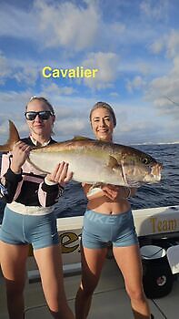 20/12 Cavalier & Blue Marlin Sport Fishing Gran Canaria