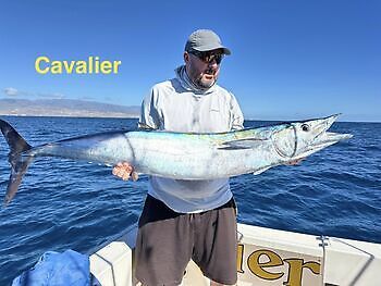 24/12 Cavalier & Blue Marlin Sport Fishing Gran Canaria