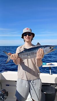 01-01 Cavalier & Blue Marlin Sport Fishing Gran Canaria