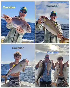 04/01 – Amberjack & Snapper! - Cavalier & Blue Marlin Sport Fishing Gran Canaria