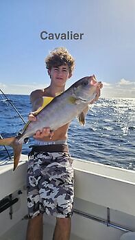 04/01 Cavalier & Blue Marlin Sport Fishing Gran Canaria