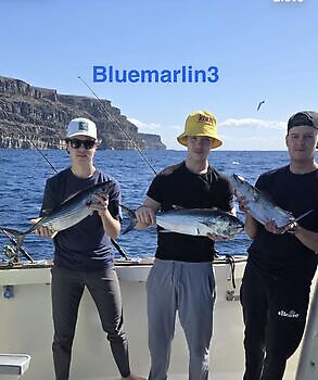 24/01 Cavalier & Blue Marlin Sport Fishing Gran Canaria