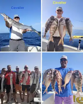 27/01 – Excellent fishing!! - Cavalier & Blue Marlin Sport Fishing Gran Canaria