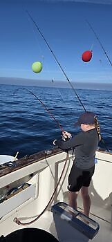 30/01 Cavalier & Blue Marlin Sport Fishing Gran Canaria