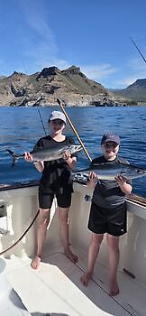 30/01 Cavalier & Blue Marlin Sport Fishing Gran Canaria