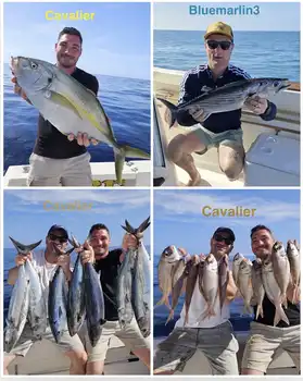 08/02 - GREAT VARIETY! - Cavalier & Blue Marlin Sport Fishing Gran Canaria