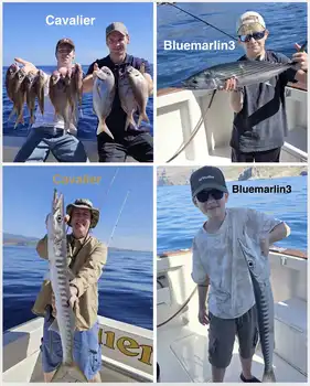 10/02 – Barracudas, samas and skipjacks in action! - Cavalier & Blue Marlin Sport Fishing Gran Canaria