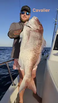 19/02 - RED SNAPPER 13KG!! - Cavalier & Blue Marlin Sport Fishing Gran Canaria
